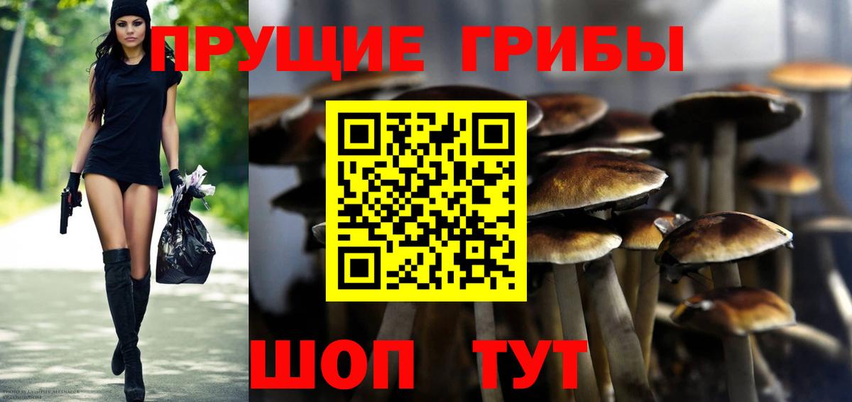 Галлюциногенные грибы GOLDEN TEACHER Ижевск